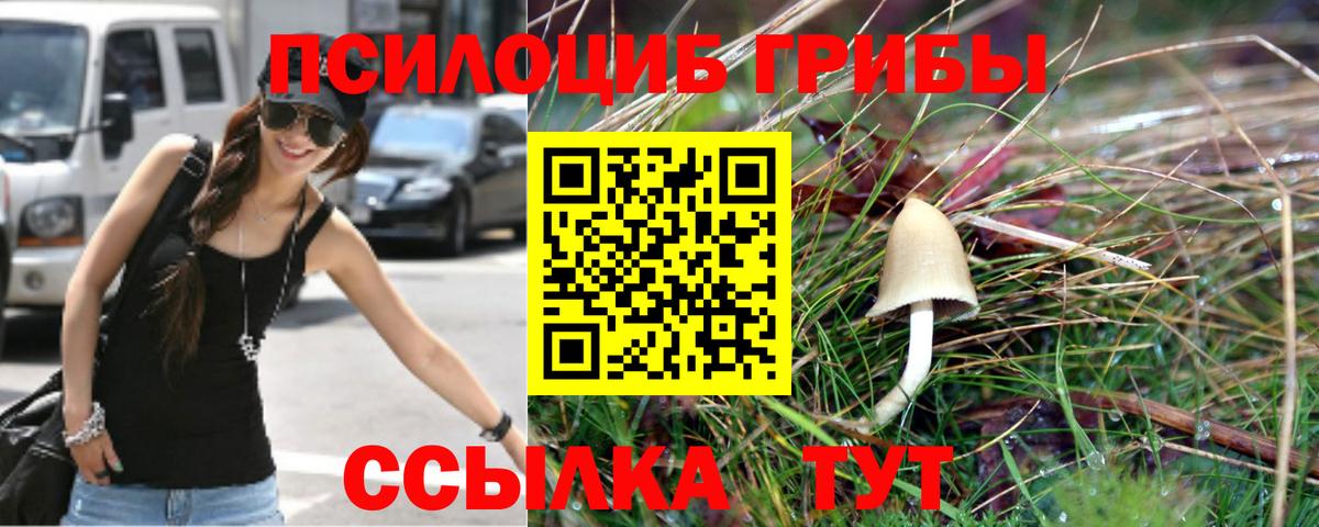 Псилоцибиновые грибы Magic Shrooms  Псилоцибиновые грибы Psilocybe  Вход с VPN  Кимры 