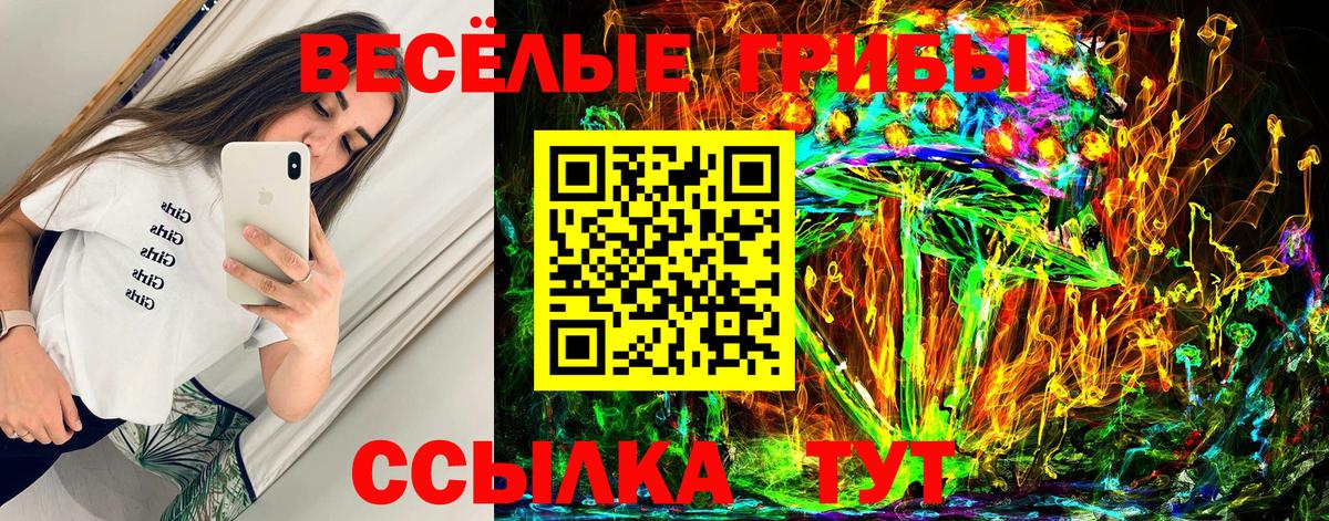 Галлюциногенные грибы MAGIC MUSHROOMS Кимры