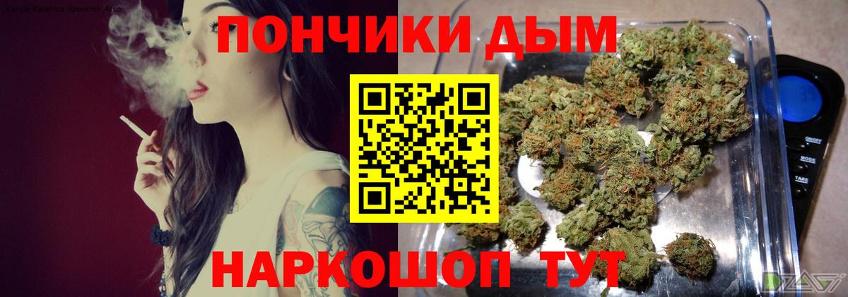 Бошки марихуана марихуана Кимры